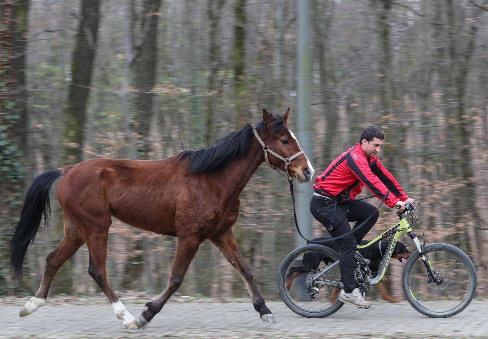 'Moj konj Kasper i ja jurimo šumama čak do 60 km na sat'