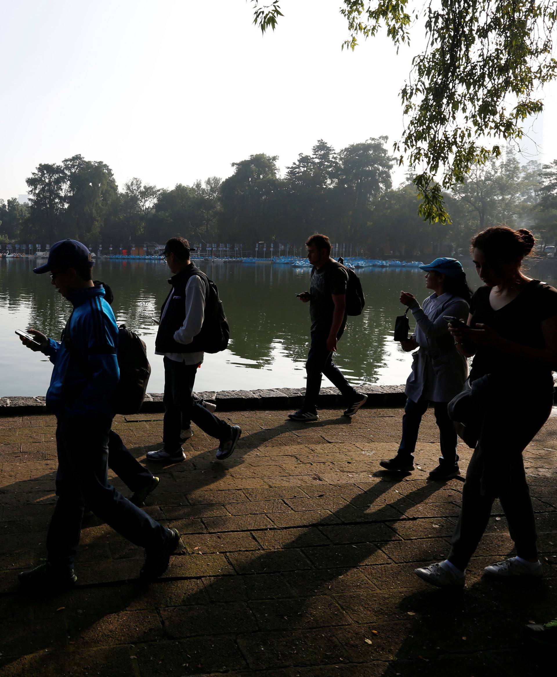 People walk with their mobile phones as some play Pokemon Go during a gathering to celebrate "Pokemon Day" at Chapultepec park in Mexico City, Mexico