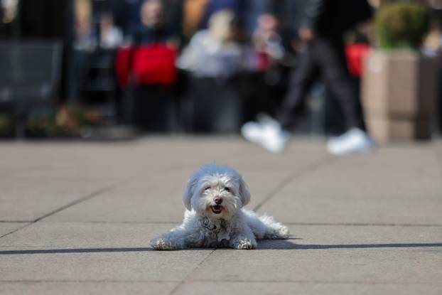 Zagreb: Sunčana nedjelja u centru grada