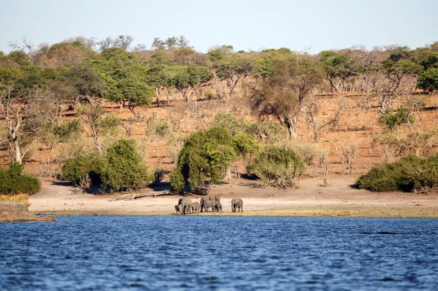 Chobe River, Botswana, Africa