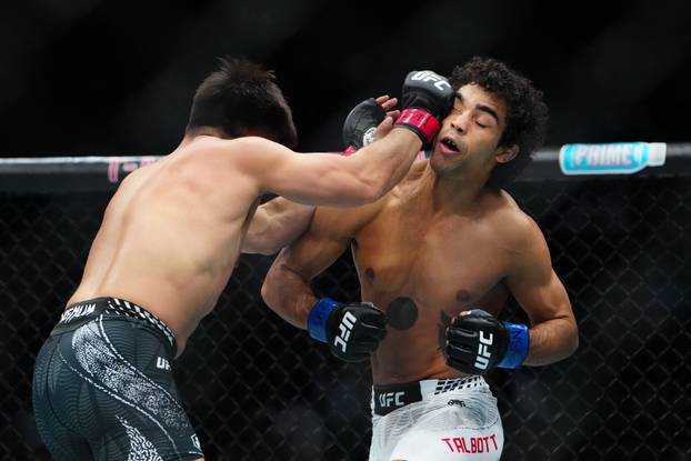 MMA: UFC 323 - Cejudo vs Talbott