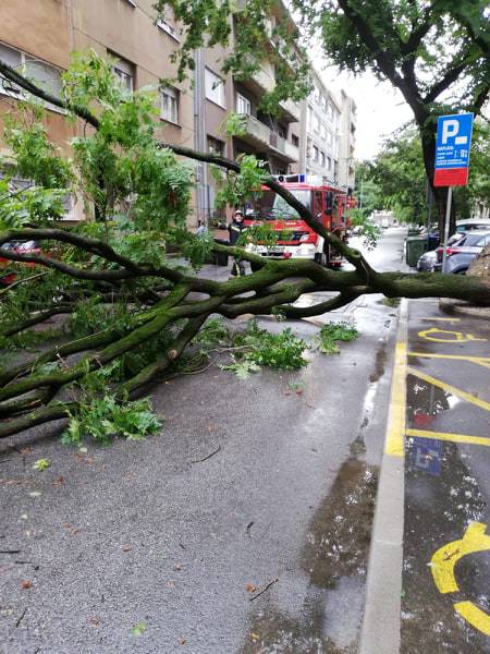 Nevrijeme u Zagrebu: Na auto palo stablo, blokiralo je i ulicu