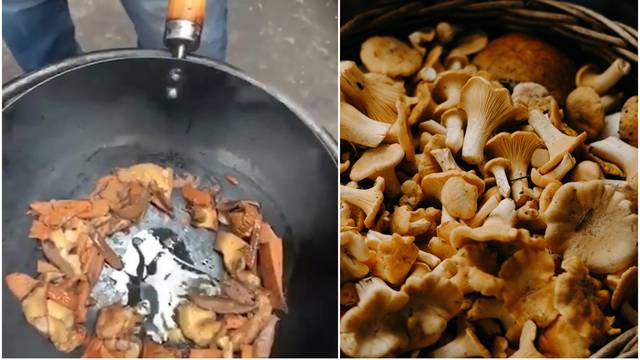 Trik za kuhanje gljiva