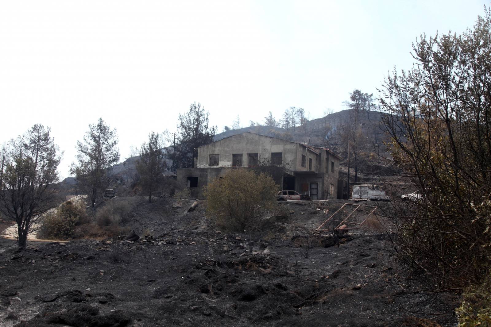 Burned trees and a damaged house are seen following a wildfire near the village of Melini, in the Larnaca mountain region