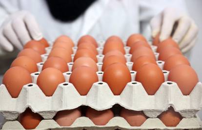 Velika inspekcija 24sata: Više na policama nema poljskih jaja