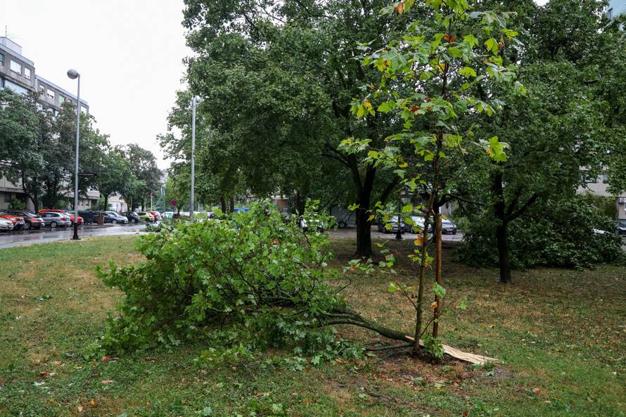 Zagreb: Vatrogasci uklanjaju stablo koje je palo u Ulici Svetog Mateja