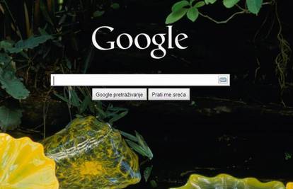 Na zaslon Googlea možete postaviti sliku po izboru