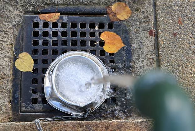 Zagreb: Diljem Zagreba osvanule posudice za pse