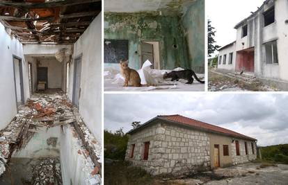 U napuštenim klupama Imotske krajine sjede  samo mačke: U 20 godina ugasile se čak 24 škole