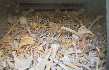 Indija: Policija zatvorila ilegalnu tvornicu kostiju
