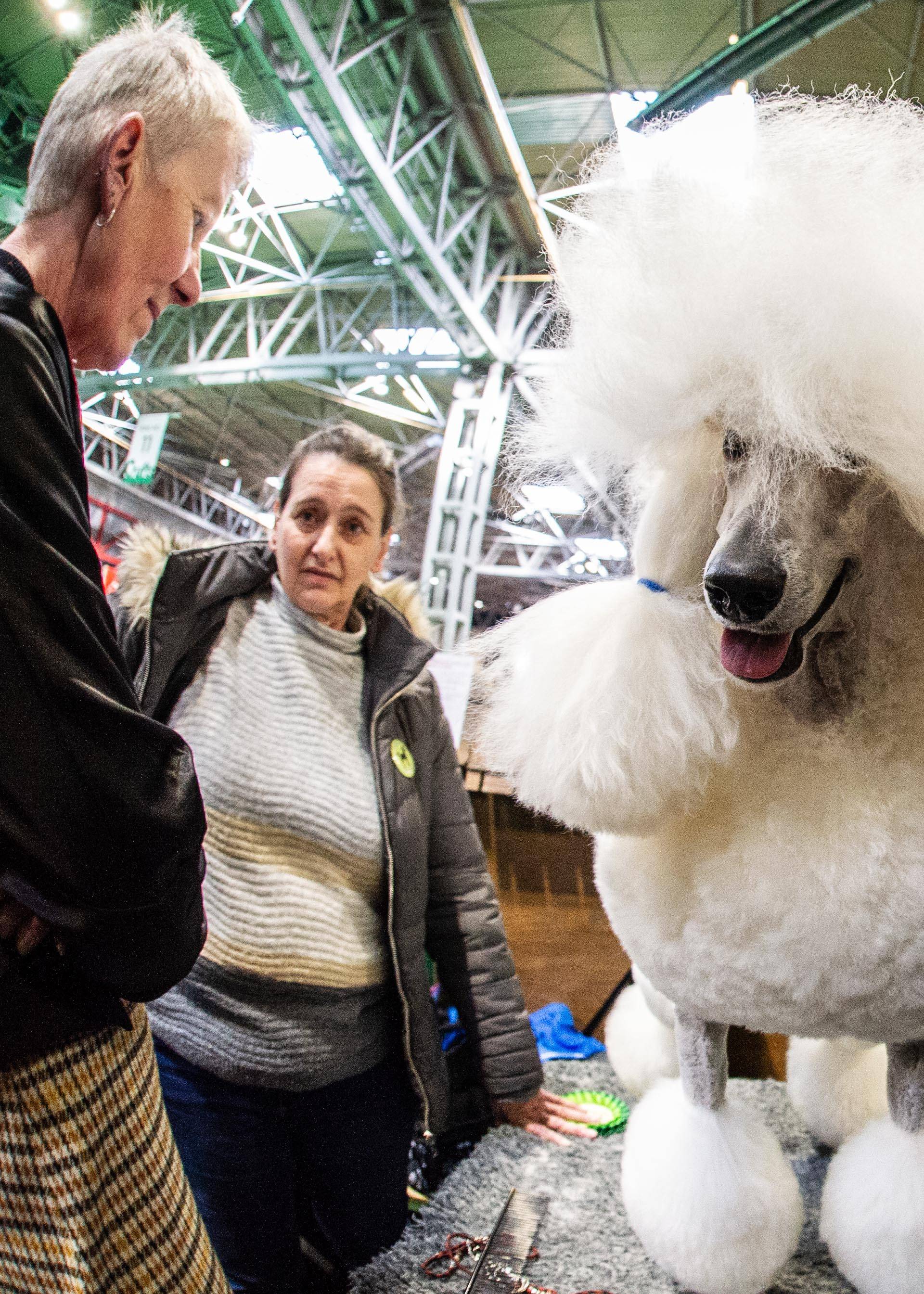 Crufts 2019 - Day 4