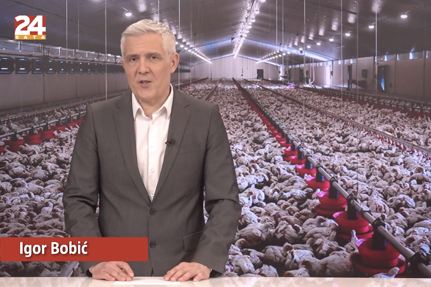 Gledajte '240 sekundi' 24sata: Preokret oko megafarmi pili&cacute;a vrijednih 600 mil. &euro; kod Siska...