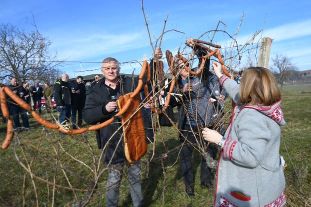 Tradicionalna proslava Vincekova u organizaciji Grada Daruvara