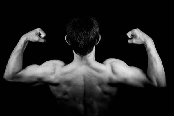 Mišići i proteini: Izvor zdravlja i snage by SuperFood.hr