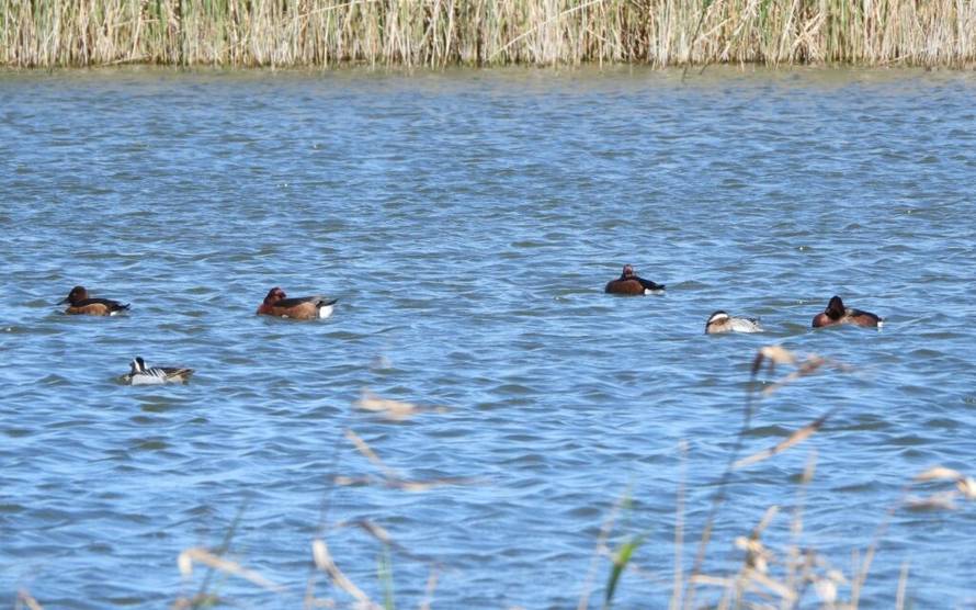 Prijavi se na foto-natječaj i pokaži nam kako Jadran izgleda kroz tvoje oči!