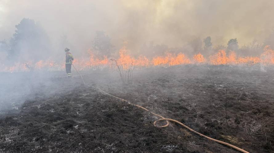 BUKTINJA U ISTRI Izgorjelo 10 hektara trave i raslinja. 'Ako bude potrebe, dižemo kanader'