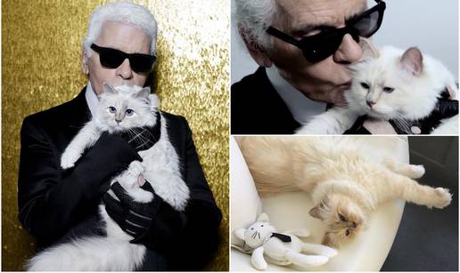 Lagerfeld je bogatstvo ostavio manekenima, vozaču i mački