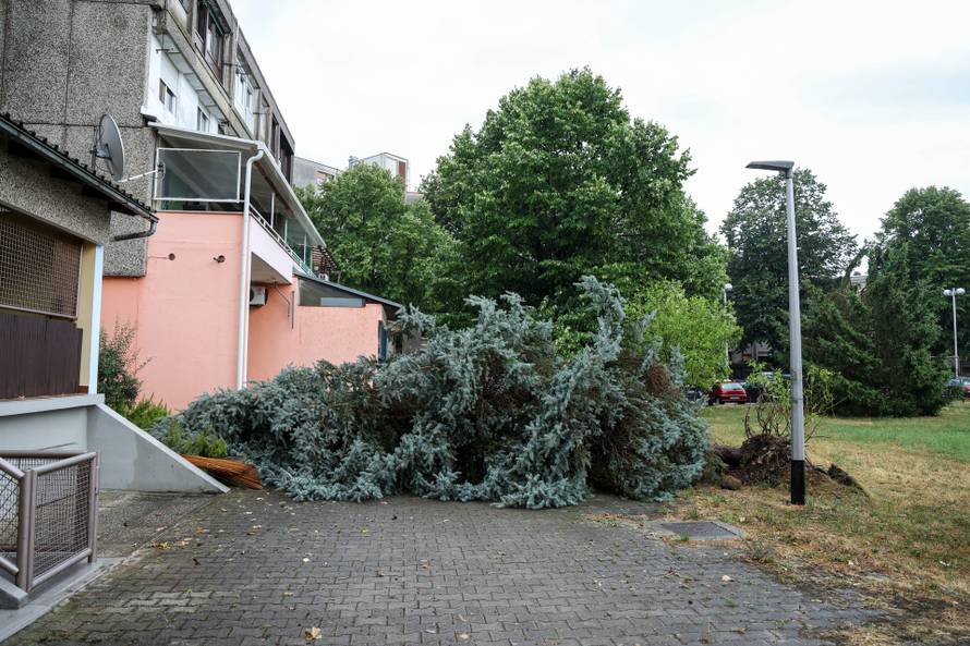 Zagreb: Vatrogasci uklanjaju stablo koje je palo u Ulici Svetog Mateja