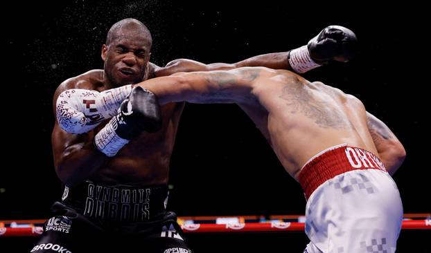 Oleksandr Usyk v Daniel Dubois - WBC, WBO, WBA & IBF World Heavyweight Titles