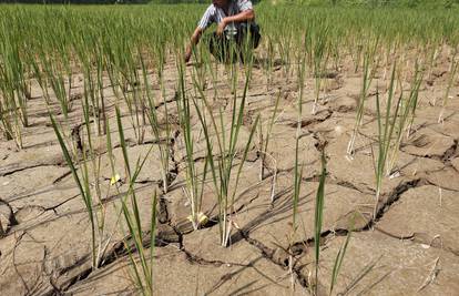El Nino donosi nevolje poljoprivredi u Aziji, olakšanje u Sjevernoj i Južnoj Americi