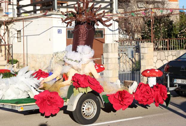 Jezera: Maškarana povorka prodefilirala je Jezerima