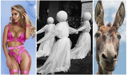 FOTO Od ukletih ku&cacute;a i demona do magarca u kadi: Najbizarniji zakoni koji i danas prkose logici