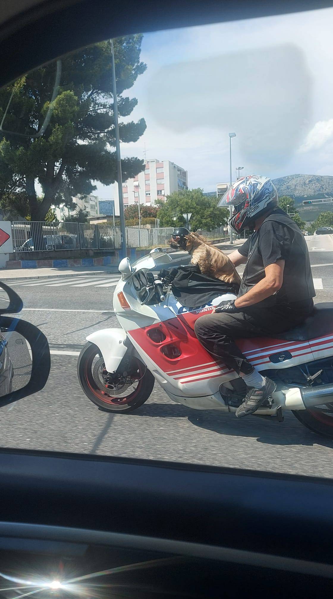 Motorist i pas postali atrakcija u Splitu: 'Svaki dan se njih dvoje voze, mališan  ima svoju kacigu'