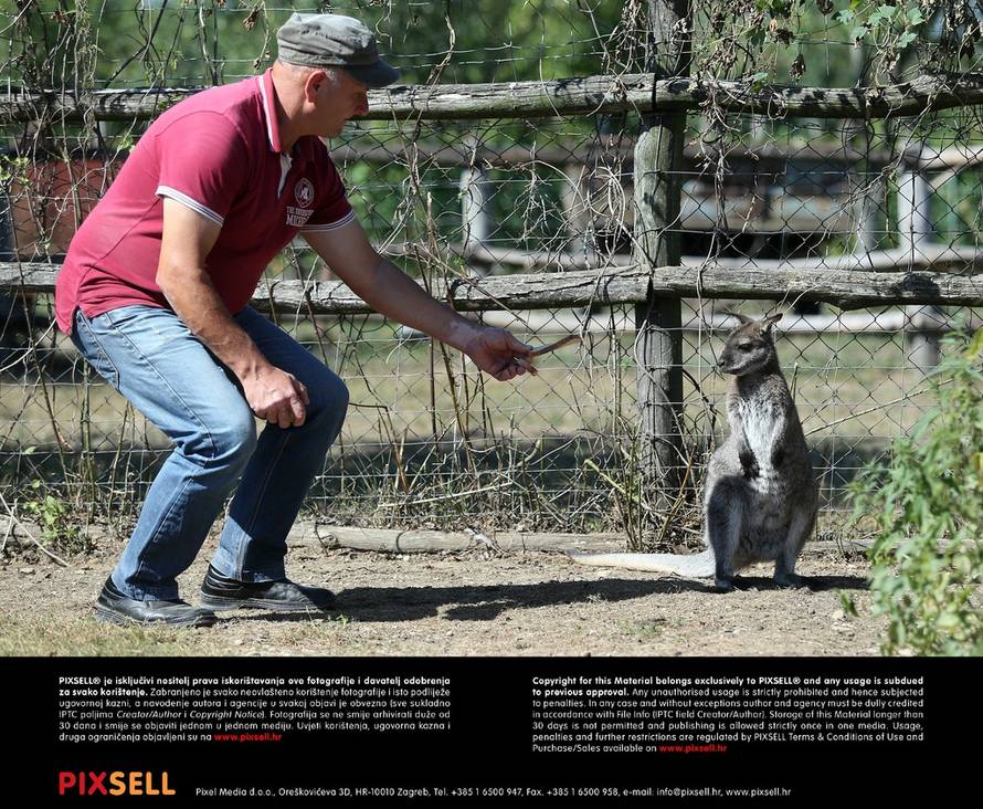 Sanjin Strukić/PIXSELL