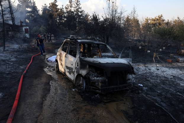 Wildfire burns near the village of Liti