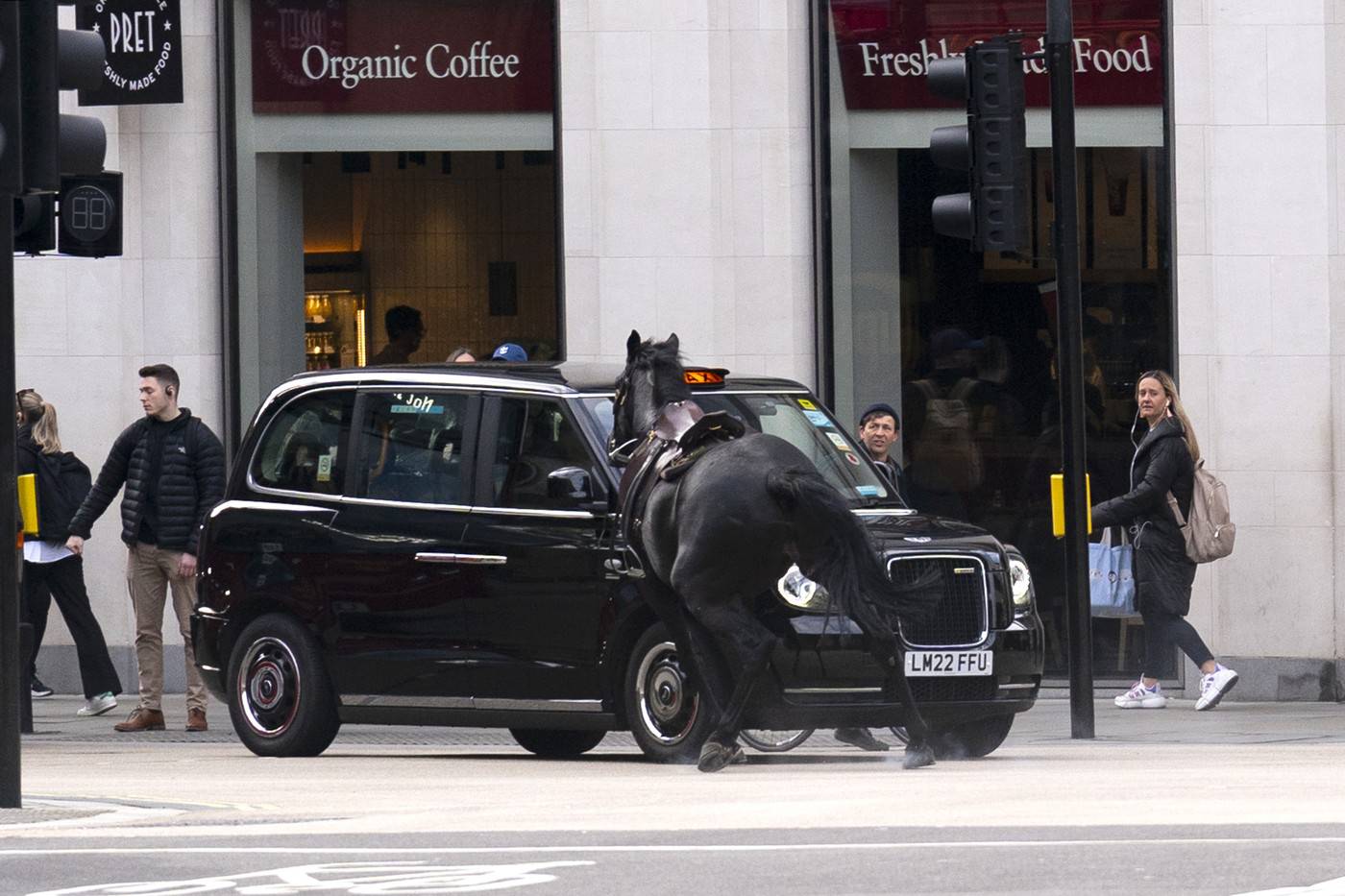 London horse incident