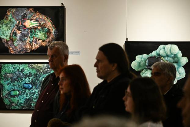 Zagreb: Otvorenje izložbe  Savršenstvo evolucije – Razotkrivanje