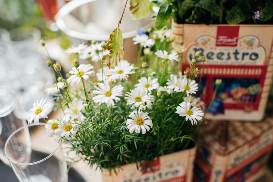 Znate li kada je svjetski dan pčela? Evo kako im zajedno možemo pomoći