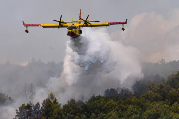 Šibenik: Gori borova šuma u blizini bolnice i obiteljskih kuća