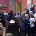 Letjele šake, letjeli papiri zbog novog zakona: Tukli i šamarali se zastupnici u parlamentu