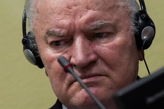 Former Bosnian Serb commander Mladic appeal judgement at UN court in The Hague