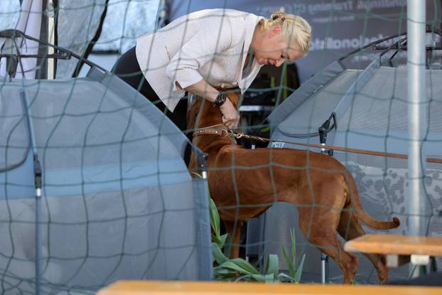 Zaton: Međunarodna izložba pasa pod nazivom CACIB Zadar 2025