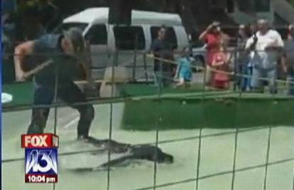 Florida: Treneru aligator odgrizao ruku na predstavi  