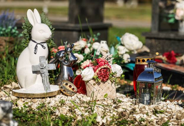 Zagreb: Groblje kućnih ljubimaca u Dumovcu obišao je jedino jedan mačak