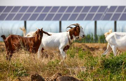 Agrosolari kao način borbe protiv klimatskih promjena: 'Ovo ne smijemo zanemariti'