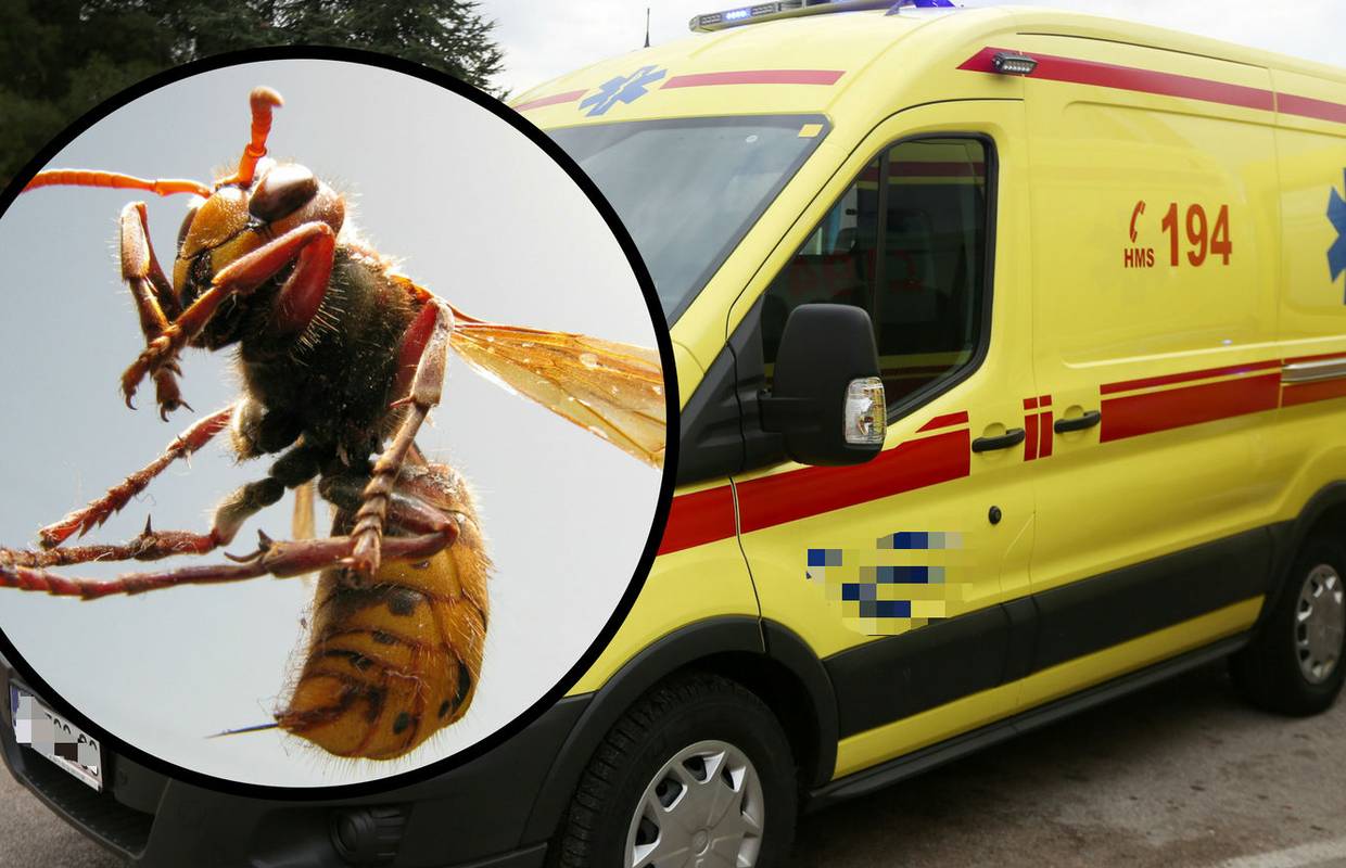Trkače kod Koprivnice napao roj stršljena: 'Puno je izbodenih, neki su morali otići na hitnu'