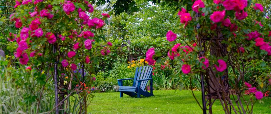 Ovog proljeća uredite vrt ili dvorište u kraljevskom stilu