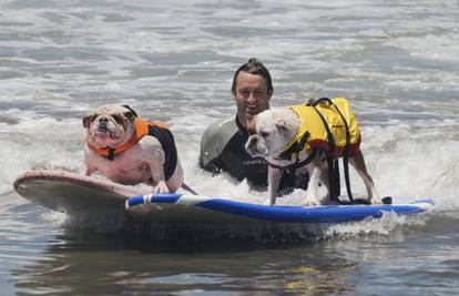 Psi na valovima: Ljubimci svih veličina natjecali se u surfanju