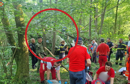 Ovo su slike s mjesta nesreće, HGSS o padu aviona: Našli smo ga u šumi, okrenuo se naopačke