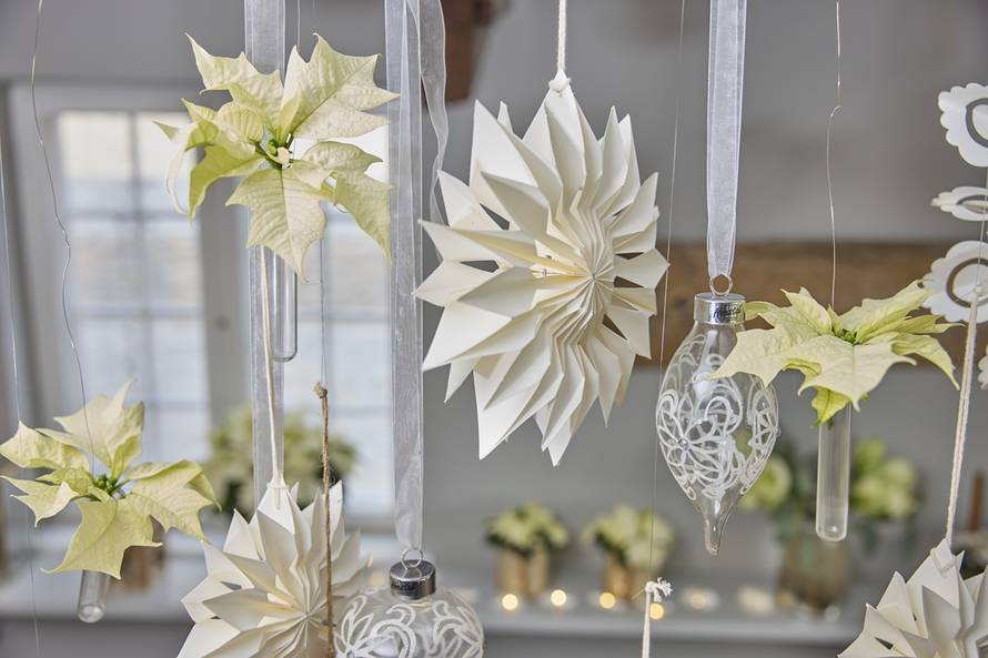 Adventski ukrasi s božićnim zvijezdama