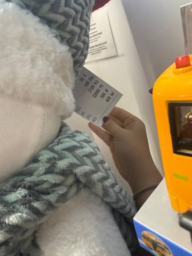 FOTO Trgovci su izvukli božićne ukrase! Pogledajte što se nudi, snježne kugle idu i za 74 eura...