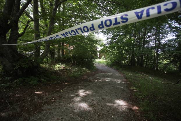 24sata Rijeka: Ku&cacute;a na U&ccaron;ki u kojoj su na&dstrok;eni psi i azil za pse na Vi&scaron;kovu