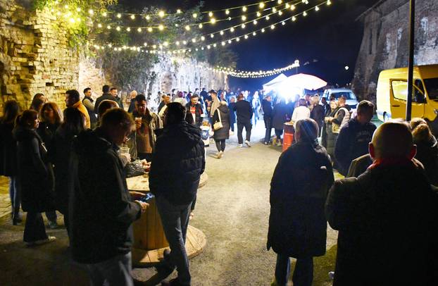 FOTO Tvrđava bila ispunjena pivom na još jednom izdanju Pivo festa u Slavonskom Brodu