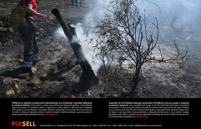 Požar u Dugome Ratu prijetio kućama, vatrogasci ih obranili