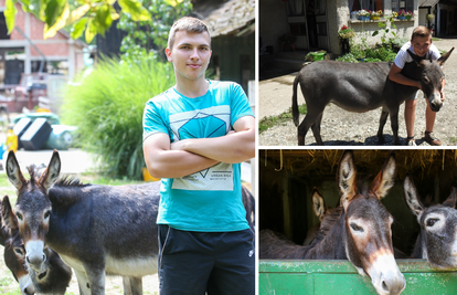 Mladi farmer Lovro (17): 'Od novca za prvu pričest kupio sam magaricu. Danas ih imam devet'