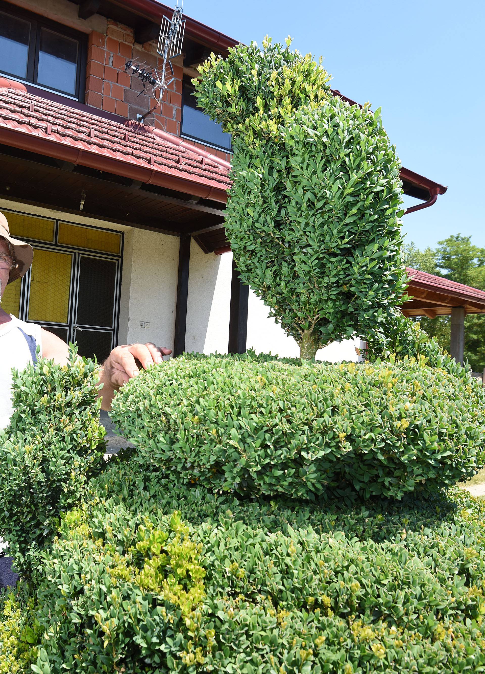 Zelenim skulpturama zadivio je svijet: Otvara park u Sračincu